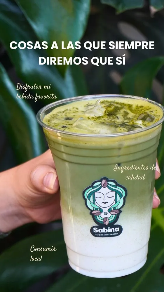 Historia de Sabina: un vaso de matcha sostenido a contraluz entre plantas